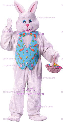 Bunny Costume W Ovrhd Mask