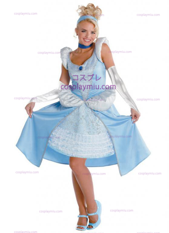 Adult Cinderella Costume